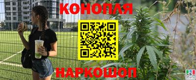 дживик Кингисепп