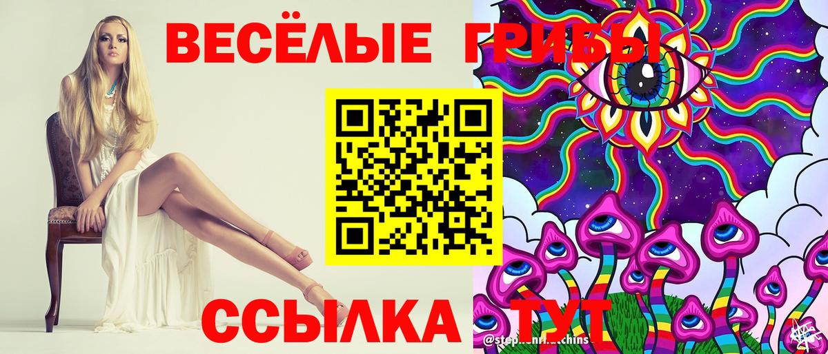 Вологда  Псилоцибиновые грибы Magic Shrooms  купить   Вход с VPN 