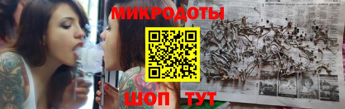 Псилоцибиновые грибы Psilocybe Вологда